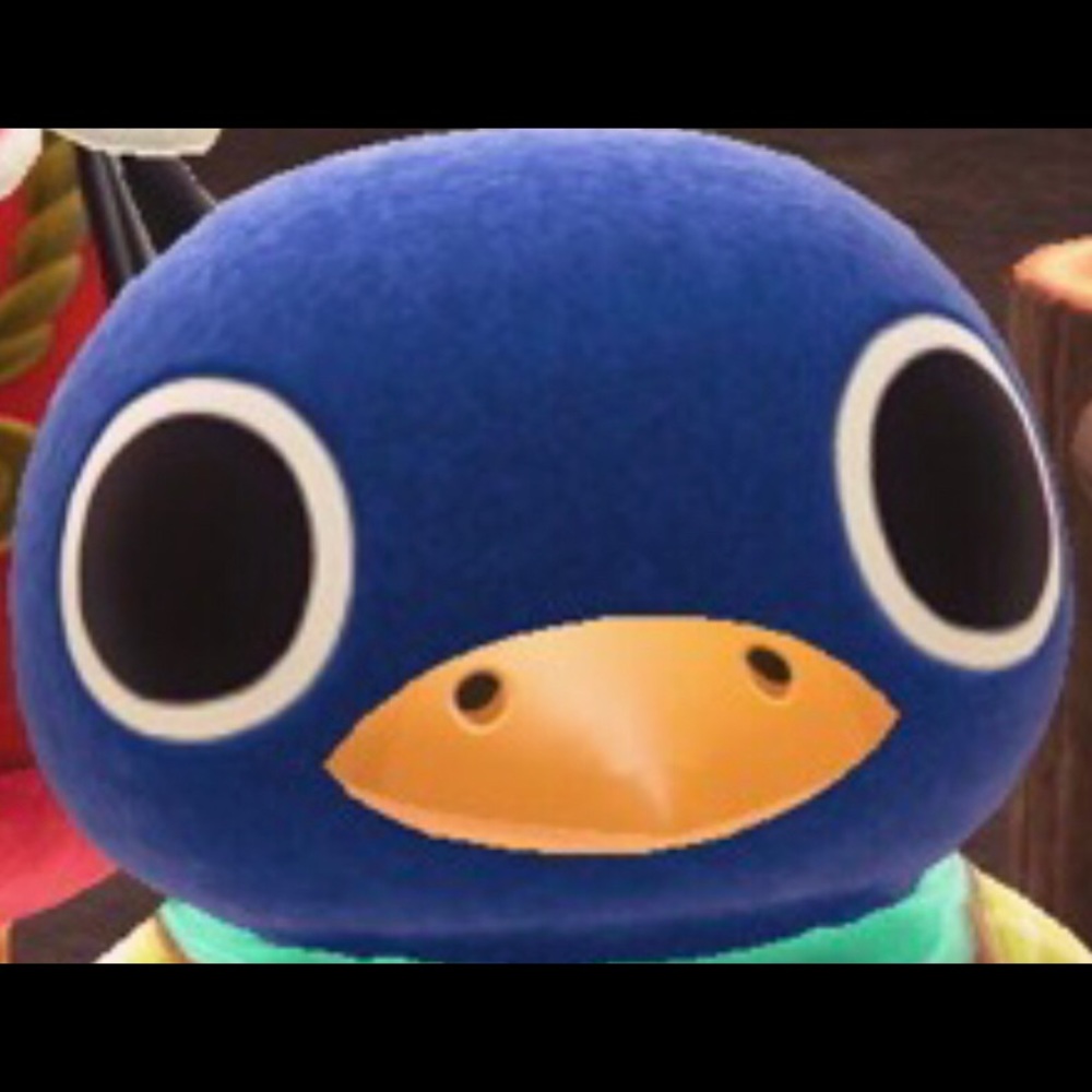 Meet your Posher, Jairo